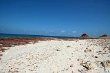 IMG_5303  Di Hamri, Socotra